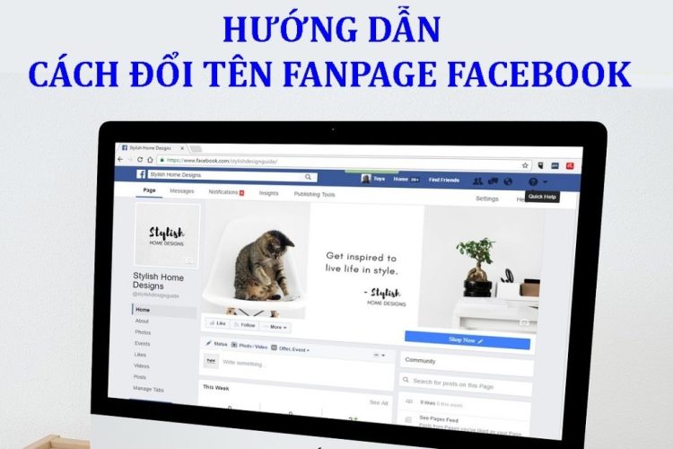 Hướng dẫn cách đổi tên Fanpage Facebook mới nhất